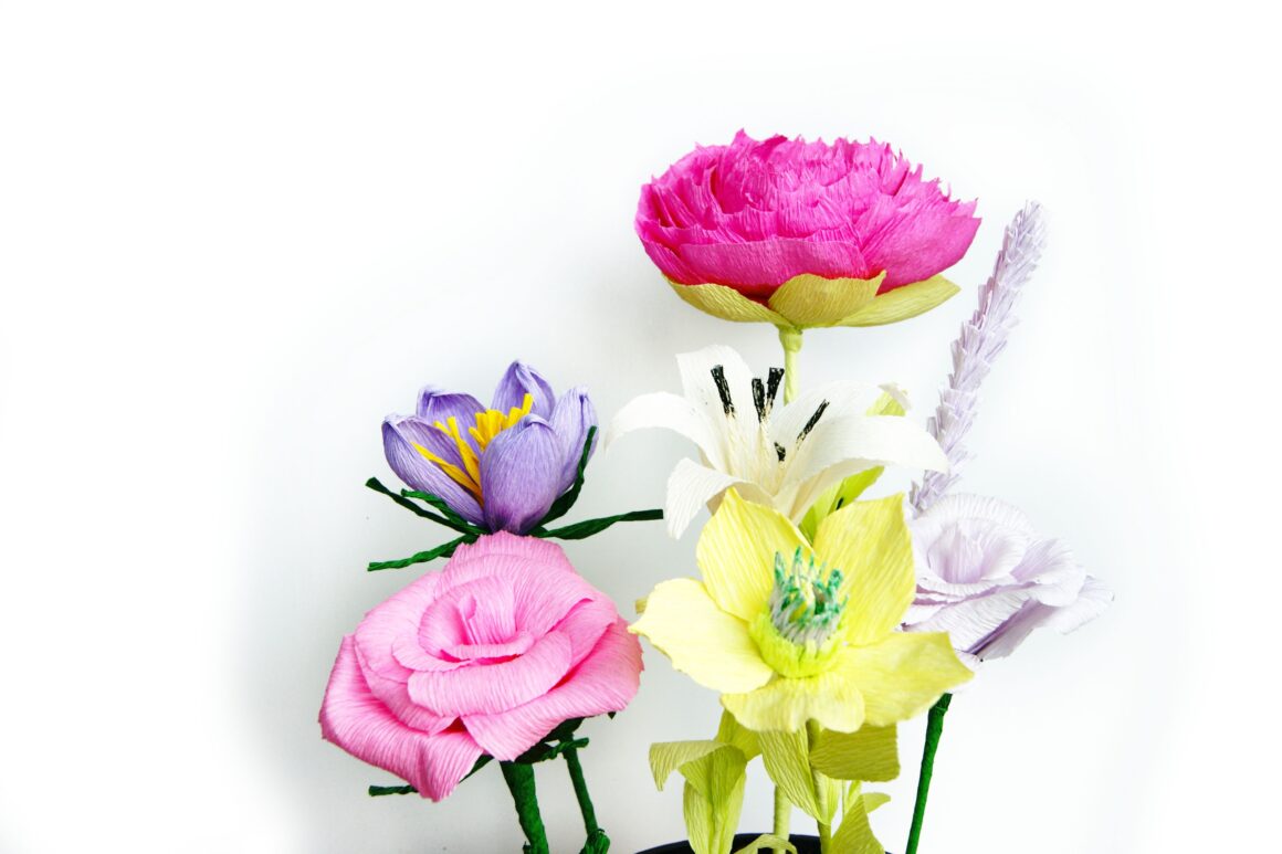 Krepina – Inspiracje